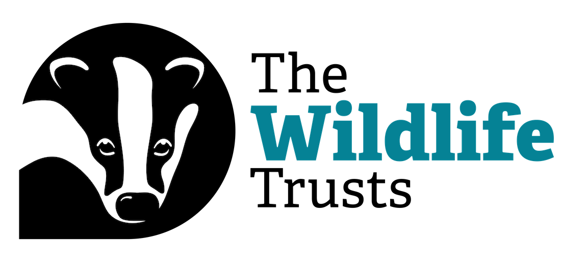 Wildlife Trust Logo